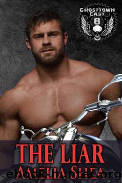 The Liar by Amelia Shea