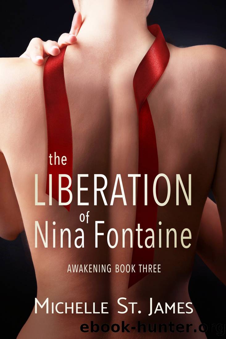 The Liberation of Nina Fontaine by James Michelle St