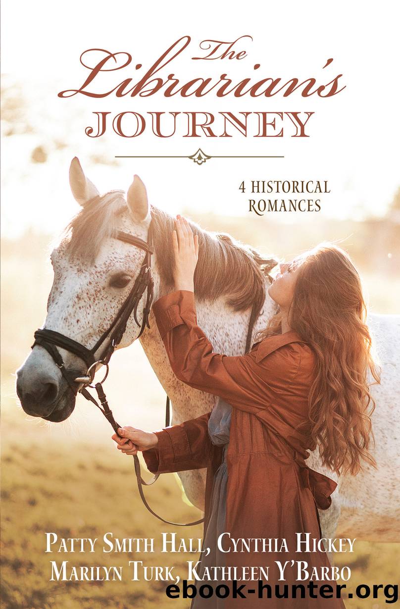 The Librarian's Journey by Patty Smith Hall