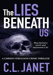 The Lies Beneath Us by C. L. Janet