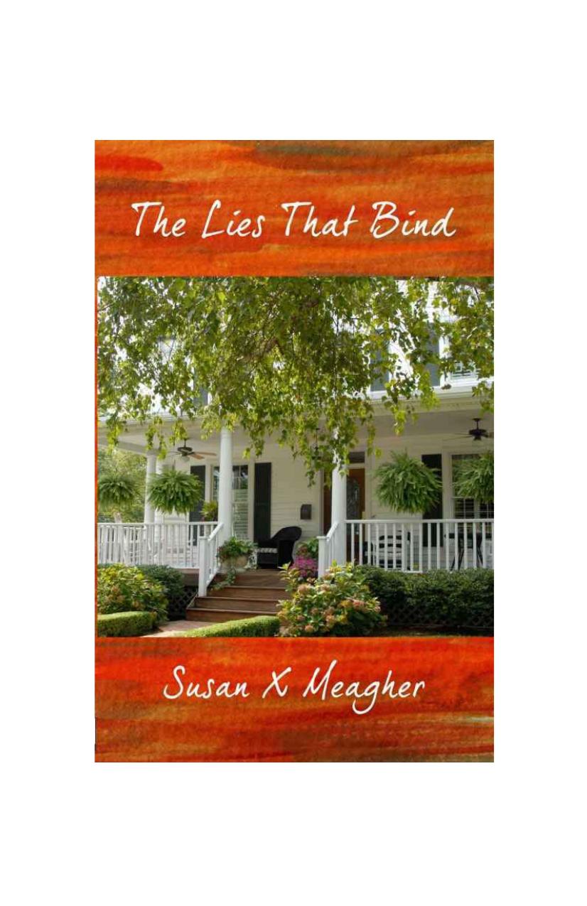 The Lies That Bind by Susan X Meagher