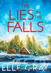 The Lies in the Falls by Elle Gray