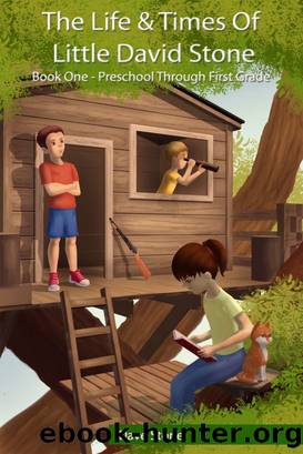 The Life & Times of Little David Stone: Book One - Preschool Through First Grade by Unknown
