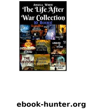 The Life After War Collection by Angela White