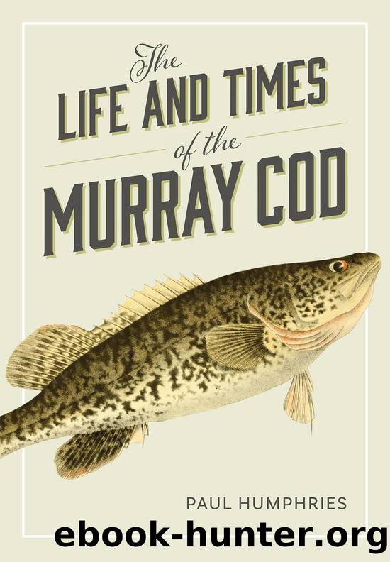 The Life and Times of the Murray Cod by Paul Humphries