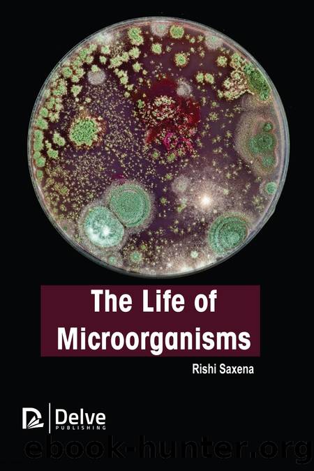 The Life of Microorganisms by Rishi Saxena