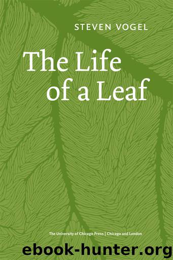 The Life of a Leaf by Steven Vogel