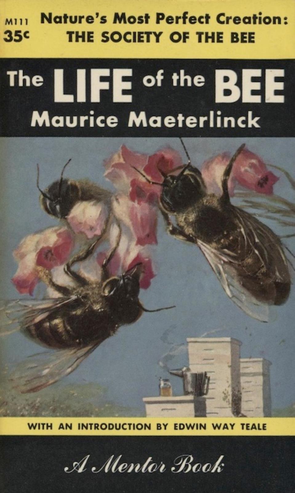 The Life of the Bee by Maurice Maeterlinck