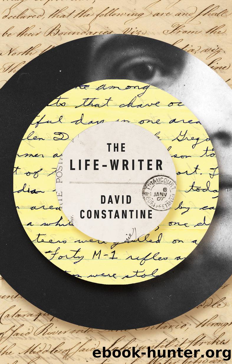 The Life-Writer by David Constantine