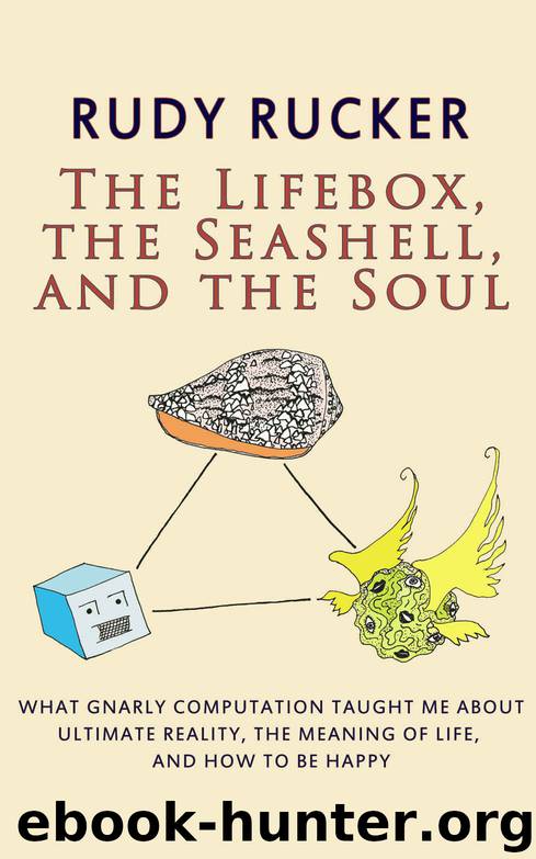 The Lifebox, the Seashell, and the Soul: What Gnarly Computation Taught Me About Ultimate Reality, The Meaning of Life, And How to Be Happy by Rudy Rucker