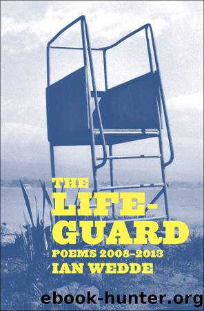 The Lifeguard by Ian Wedde