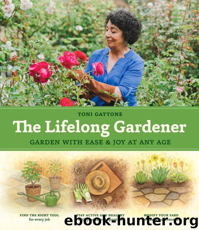 The Lifelong Gardener by Toni Gattone