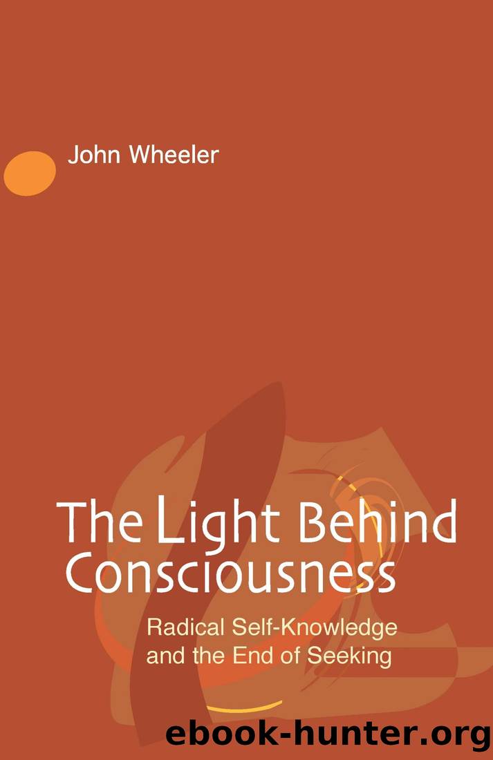 The Light Behind Consciousness by John Wheeler
