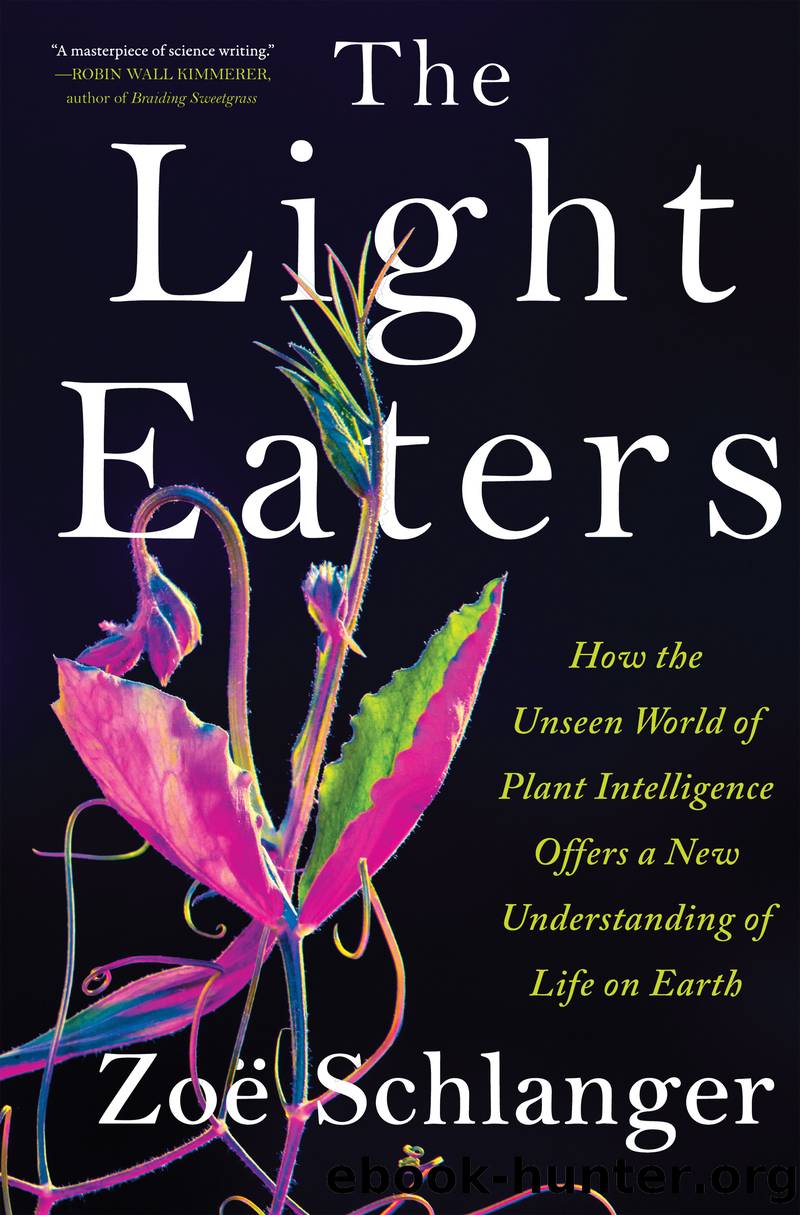 The Light Eaters by Zoë Schlanger