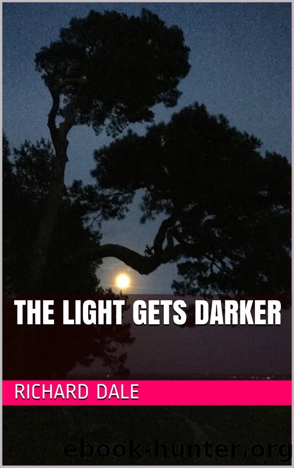 The Light Gets Darker by Dale Richard