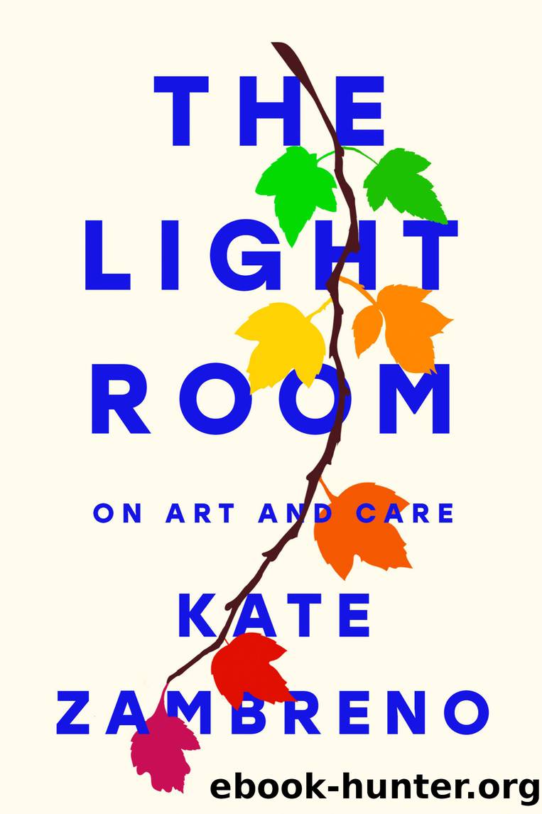 The Light Room by Kate Zambreno