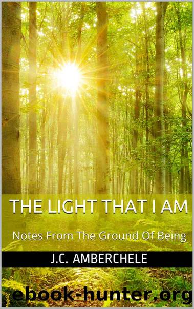 The Light That I Am: Notes From The Ground Of Being by J.C. Amberchele