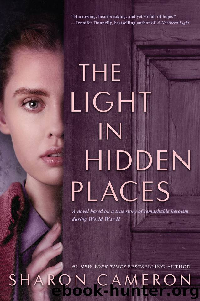 The Light in Hidden Places by Sharon Cameron