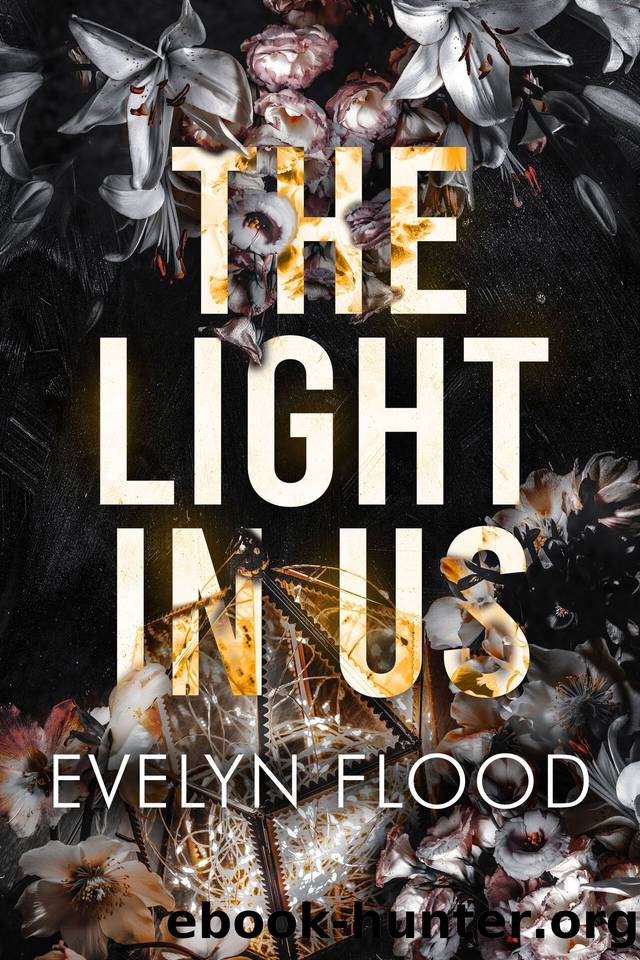 The Light in Us by Evelyn Flood