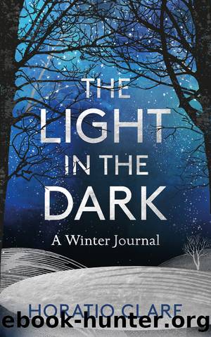 The Light in the Dark_A Winter Journal by Horatio Clare