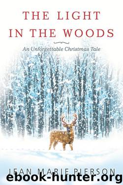 The Light in the Woods by Jean Marie Pierson