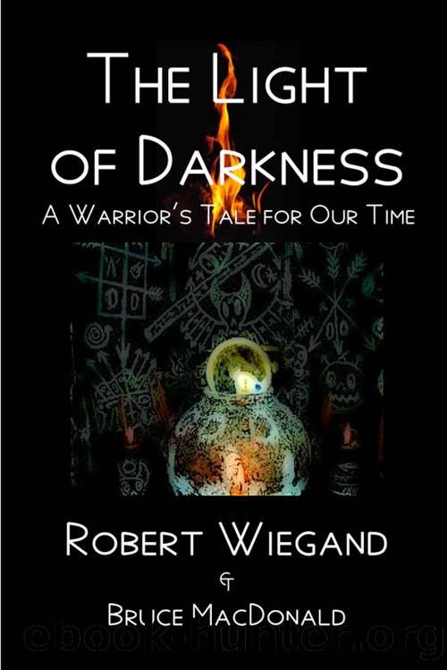 The Light of Darkness: A Warrior's Tale for Our Time by Robert Wiegand & Bruce MacDonald