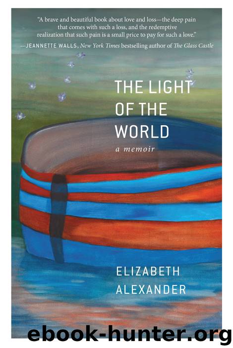 The Light of the World by Elizabeth Alexander