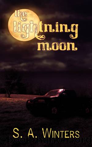 The Lightning Moon by Sylvia A. Winters