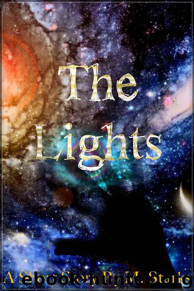 The Lights by Starks M