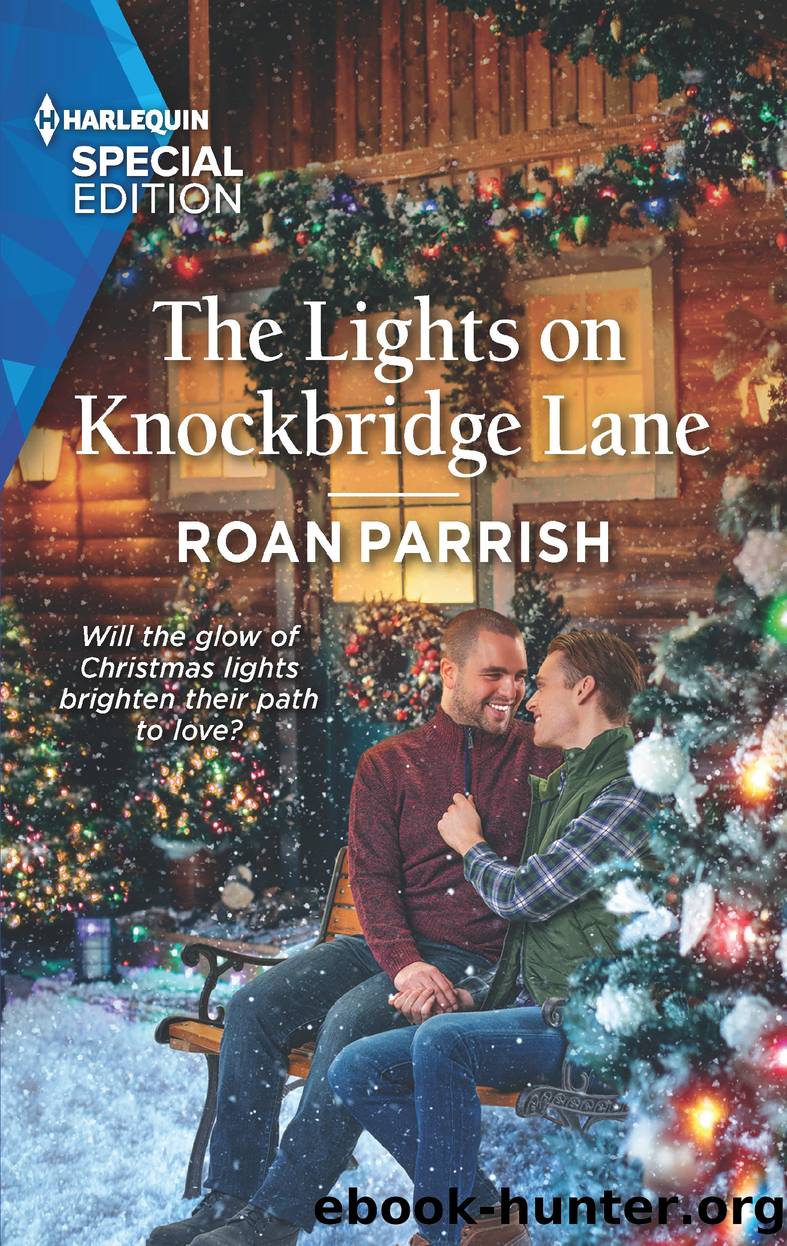 The Lights on Knockbridge Lane by Roan Parrish