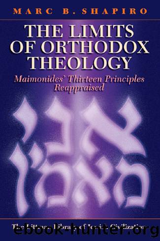 The Limits of Orthodox Theology by Shapiro Marc B.;