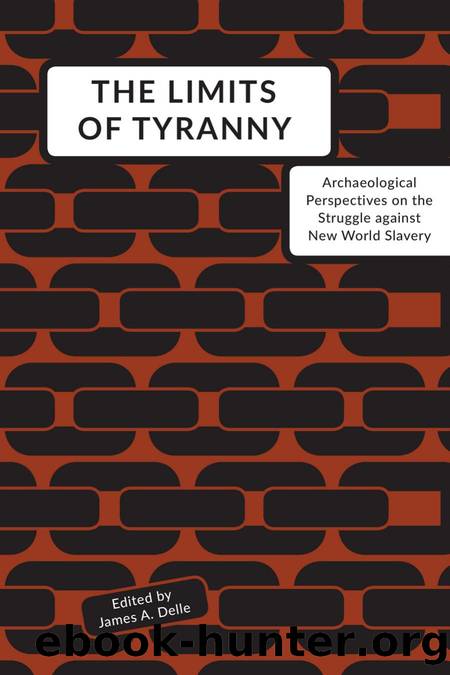 The Limits of Tyranny by James A. Delle