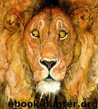 The Lion & the Mouse by Jerry Pinkney