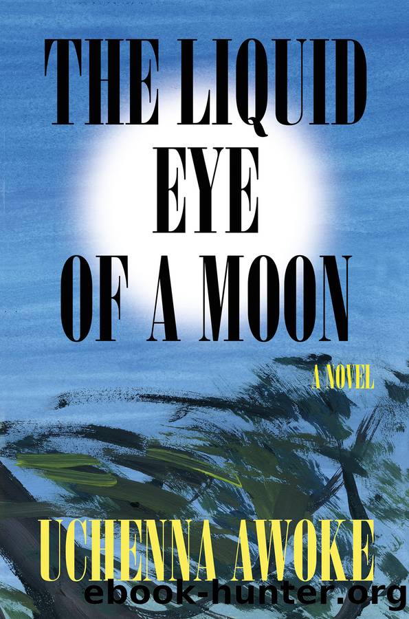 The Liquid Eye of a Moon by Uchenna Awoke