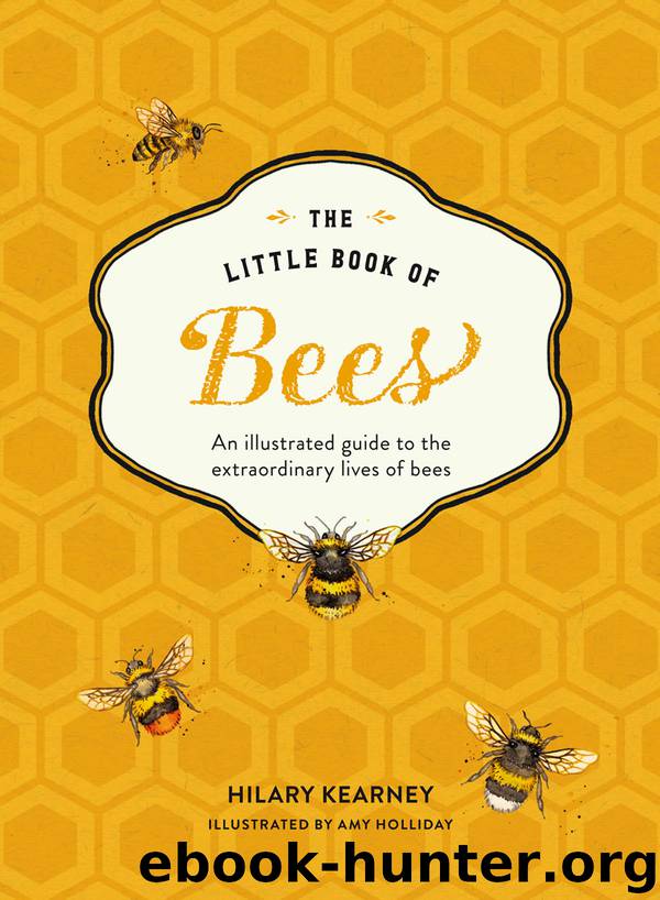 The Little Book of Bees by Hilary Kearney