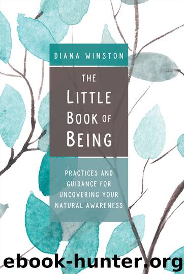 The Little Book of Being by Diana Winston