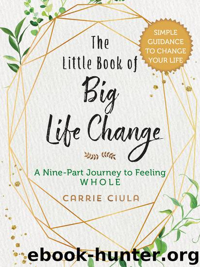 The Little Book of Big Life Change by Carrie Ciula