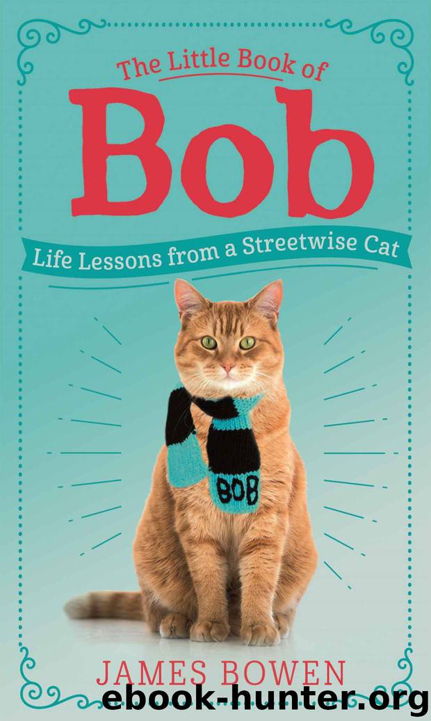 The Little Book of Bob by James Bowen
