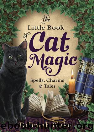 The Little Book of Cat Magic by Deborah Blake