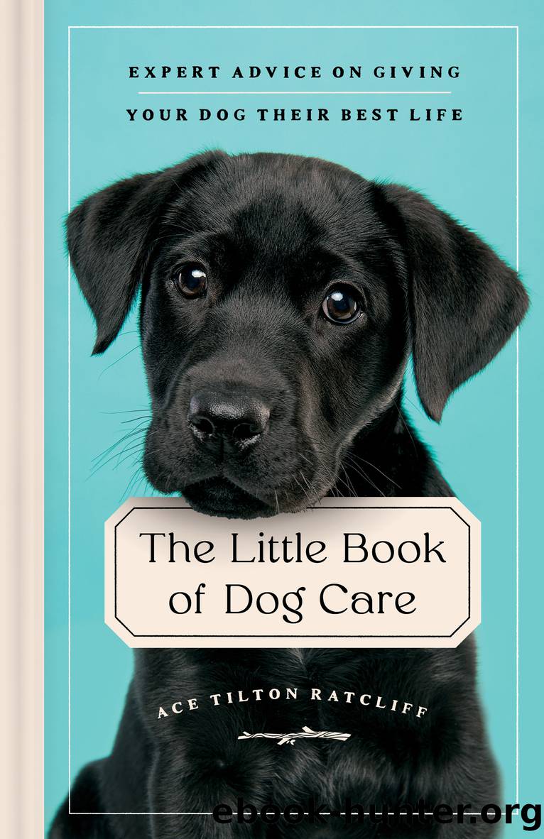 The Little Book of Dog Care: Expert Advice on Giving Your Dog Their Best Life by Ace Tilton Ratcliff