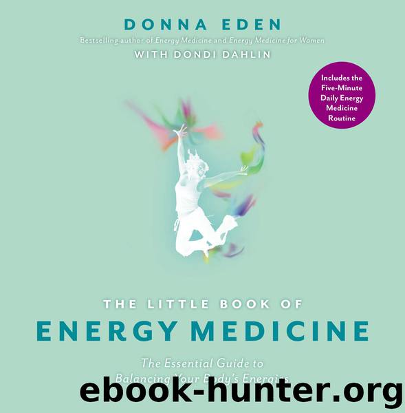The Little Book of Energy Medicine by Donna Eden