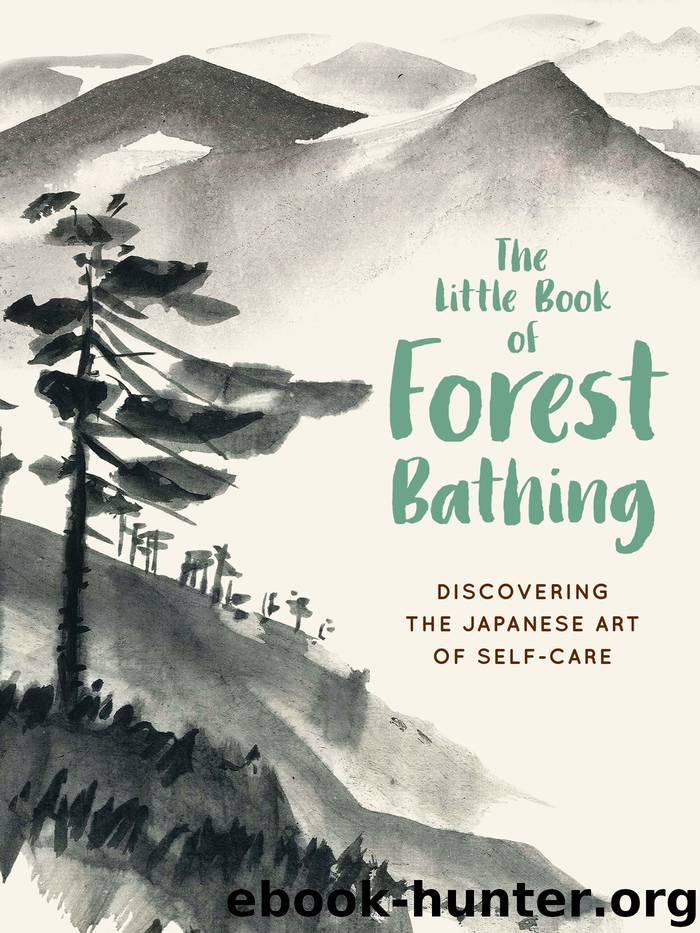 The Little Book of Forest Bathing by Andrews McMeel Publishing - free ...