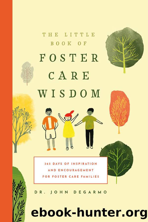 The Little Book of Foster Care Wisdom by John DeGarmo