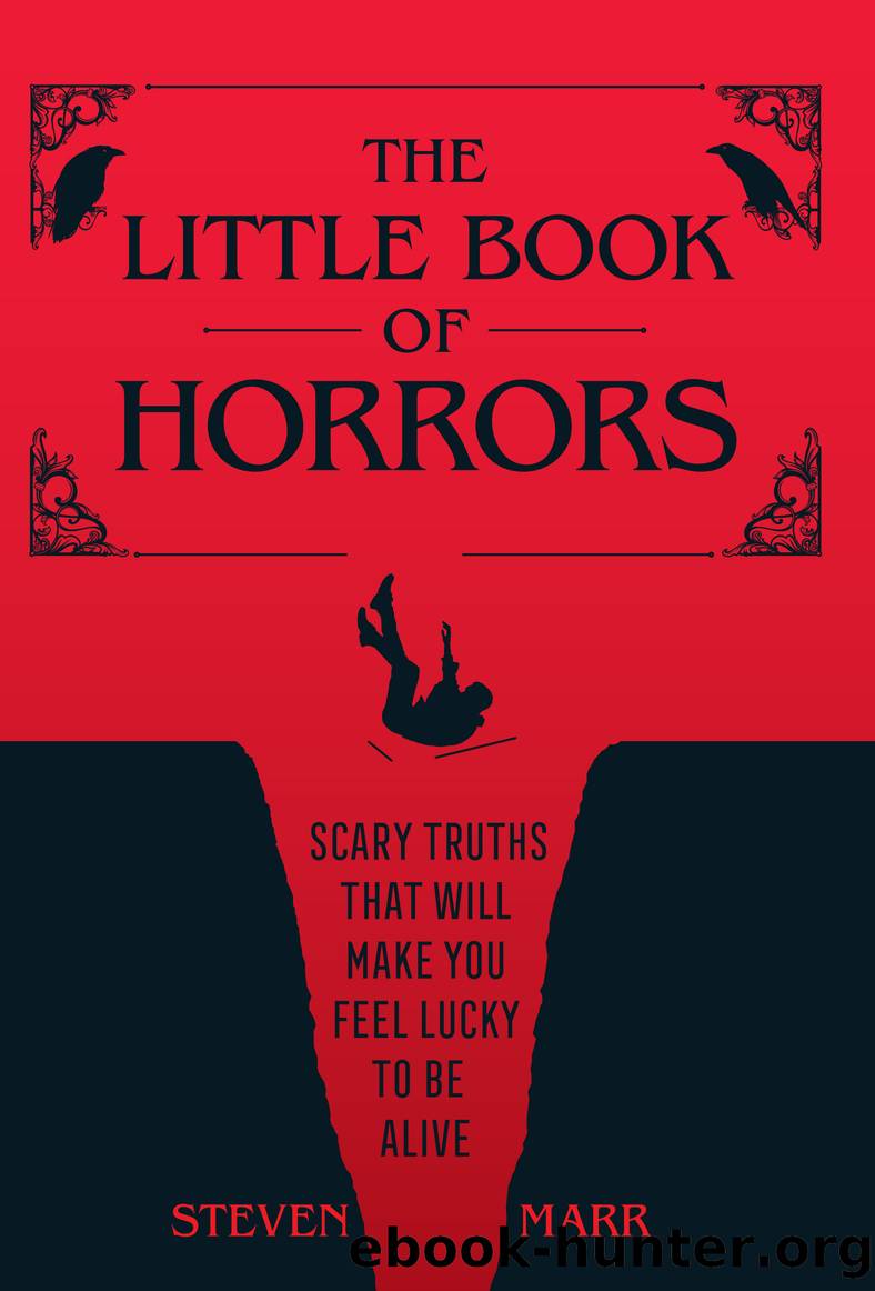 The Little Book of Horrors by Steven Marr