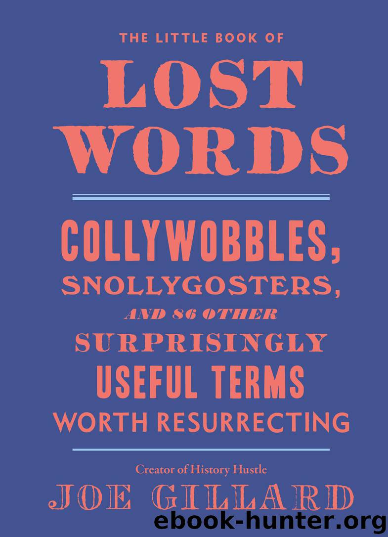 The Little Book of Lost Words by Joe Gillard