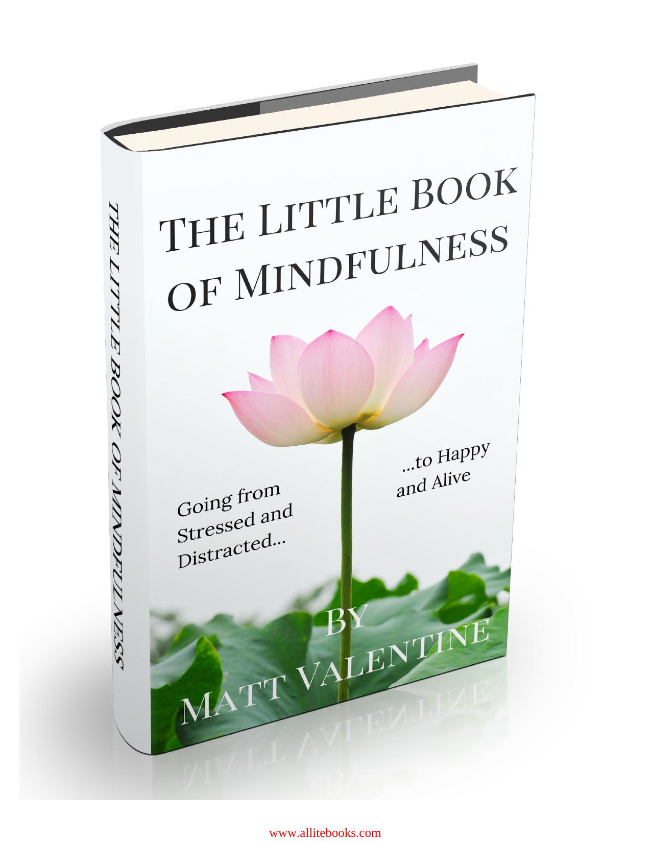 The Little Book of Mindfulness by Unknow