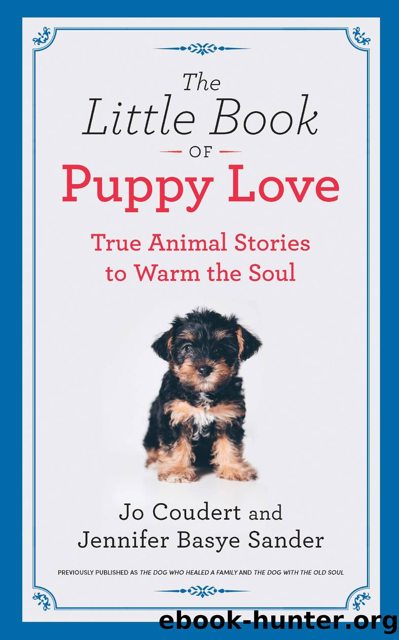 The Little Book of Puppy Love by Jennifer Basye Sander
