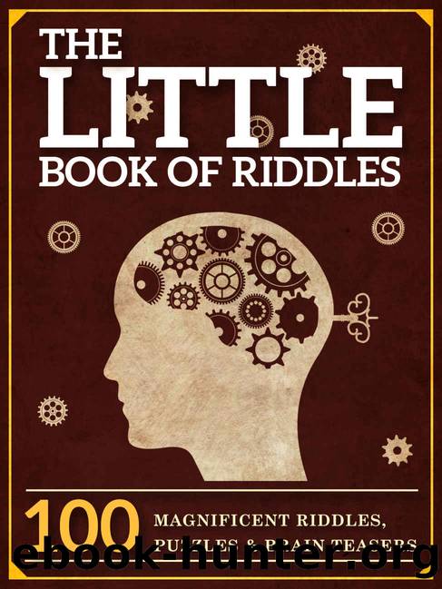 The Little Book of Riddles: 100 Magnificent Riddles, Puzzles and Brain Teasers for Kids (The Great Books Series 6) by Peter Keyne & Elsinore Books