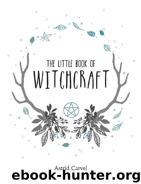 The Little Book of Witchcraft by Astrid Carvel