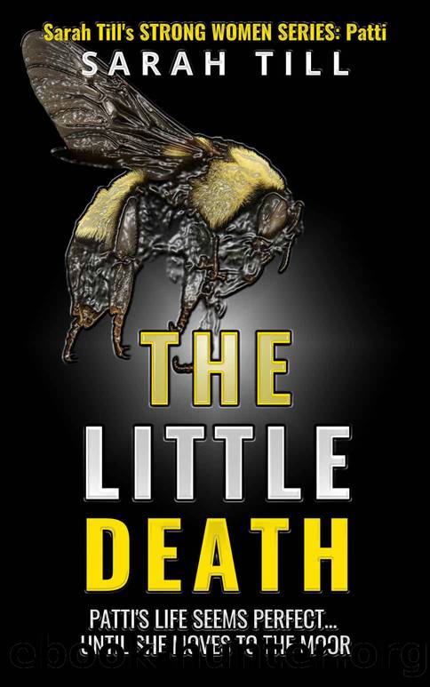 The Little Death by Sarah Till